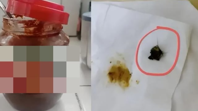 网民称豆瓣酱中有老鼠头 中国厂商：不太可能 