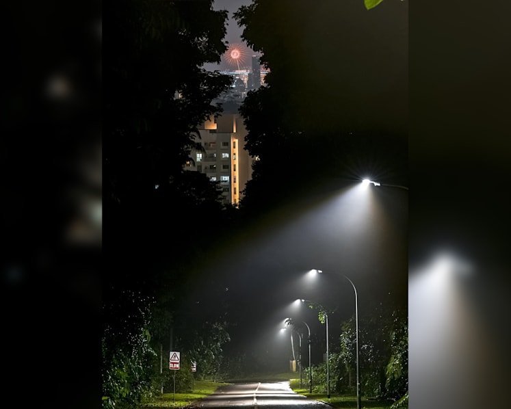 #trending: ‘Unreal’ photo of Marina Bay New Year fireworks shot from Bukit Batok wows netizens