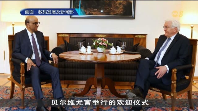 尚达曼总统出席德国欢迎仪式 同施泰因迈尔会晤