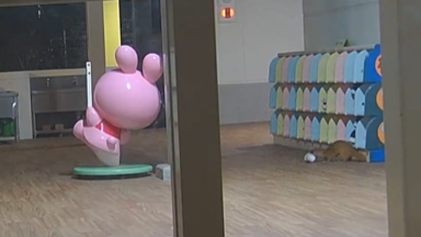 Stolen shoe mystery solved at Japanese kindergarten when security camera catches weasel in the act