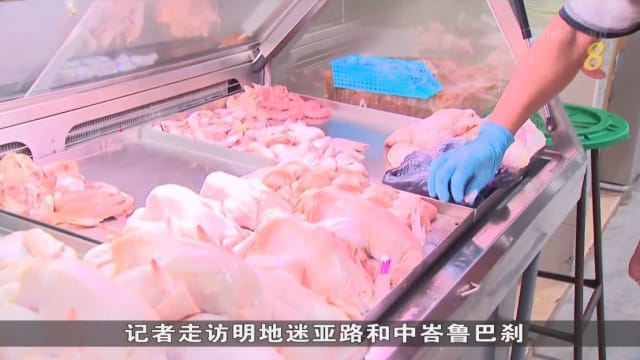 马国禁鸡令解除一周后 受访摊贩：收入增达20%