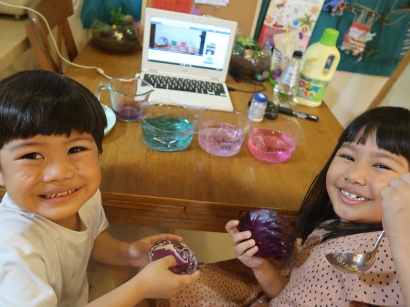 Ms Priscilla Quek’s children Reuel, 6, (left) and Anneli Teo, 8, doing a home-based experiment provided online by the Science Centre Singapore. Ms Priscilla Quek’s children Reuel, 6, (left) and Anneli Teo, 8, doing a home-based experiment provided online by the Science Centre Singapore.