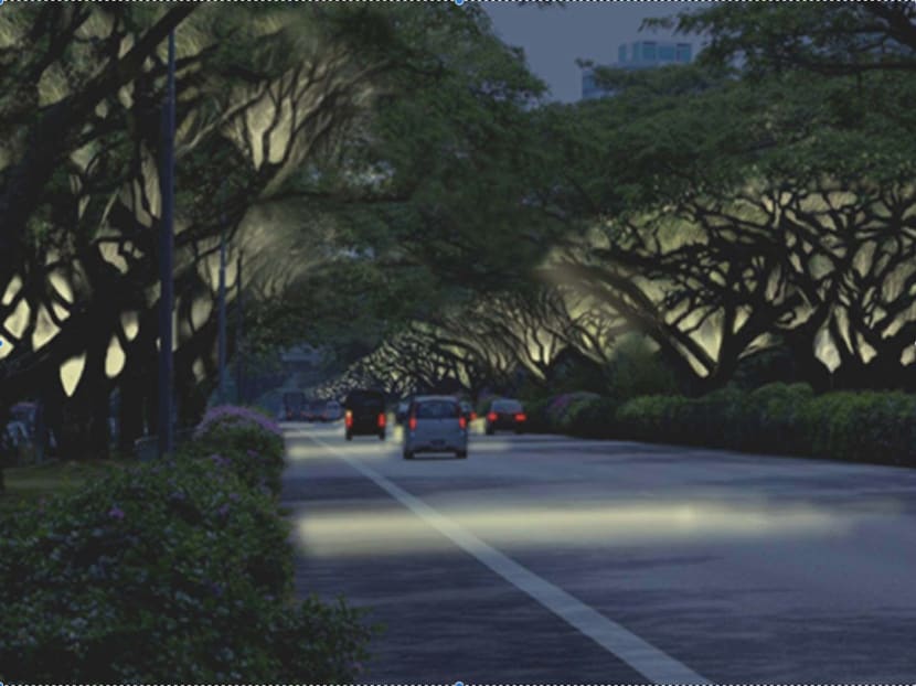Artist impression of ECP lighting installation in celebration of SG50. Photo: National Parks Board