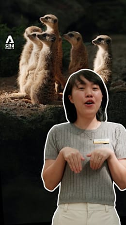 5 things you never knew about working at the zoo