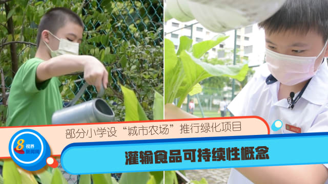 部分小学设“城市农场”推行绿化项目 灌输食品可持续性概念