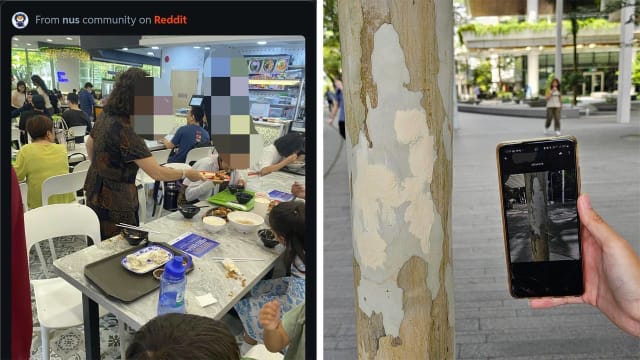 国大涌入大量外国旅客 大学生：巴士食堂挤满游客
