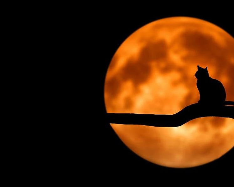 Wide awake when you should be sleeping? You might be smarter and more creative