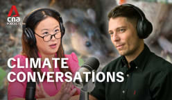 Climate Conversations - Urban invaders - how global warming fuels the rat boom