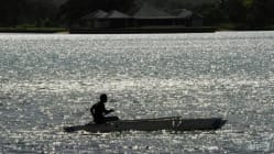 Related article image