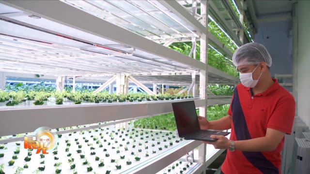 晨光|晨光聚焦：绿色转型加快 绿色技能和人才抢手