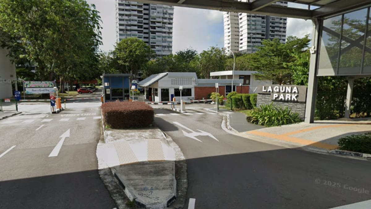 Man dies after slashing at Marine Parade condominium; 23-year-old man arrested
