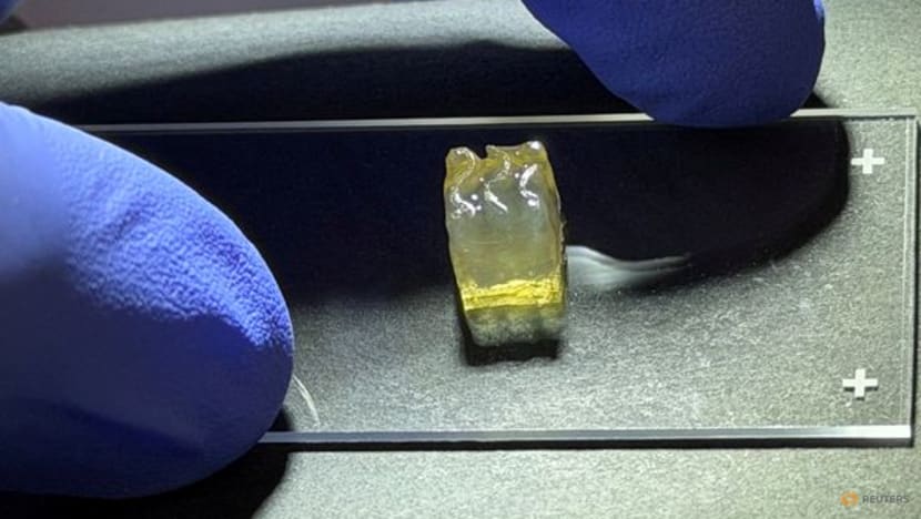 Space station bioprinting experiment advances quest for lab-grown tissues, company says