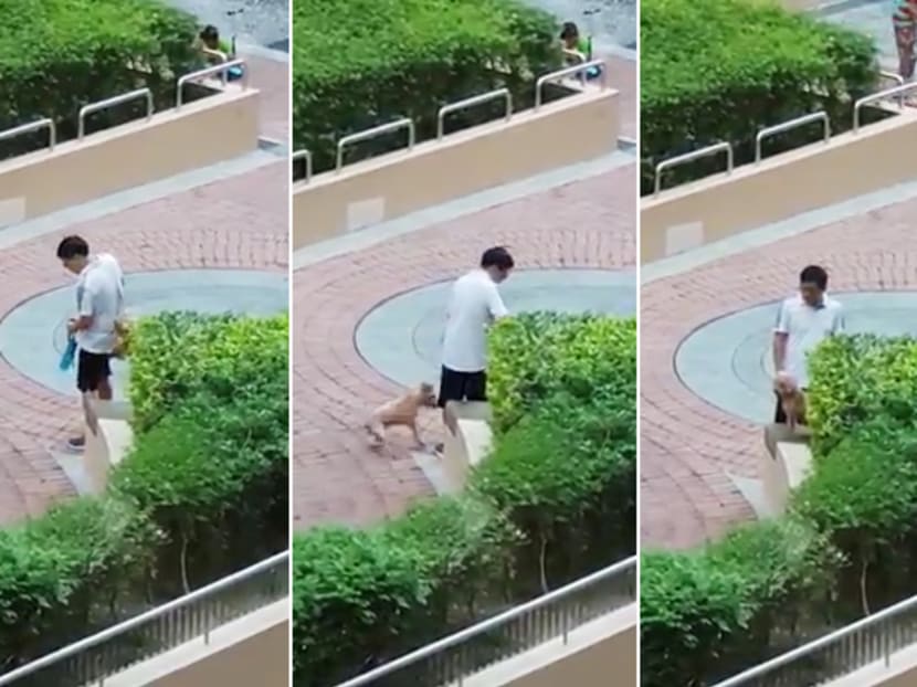 Chen Xin, 38, caught on video abusing his pet. He told the court that it was his first time owning a pet and he did not know how to train a dog. Chen Xin, 38, caught on video abusing his pet. He told the court that it was his first time owning a pet and he did not know how to train a dog.