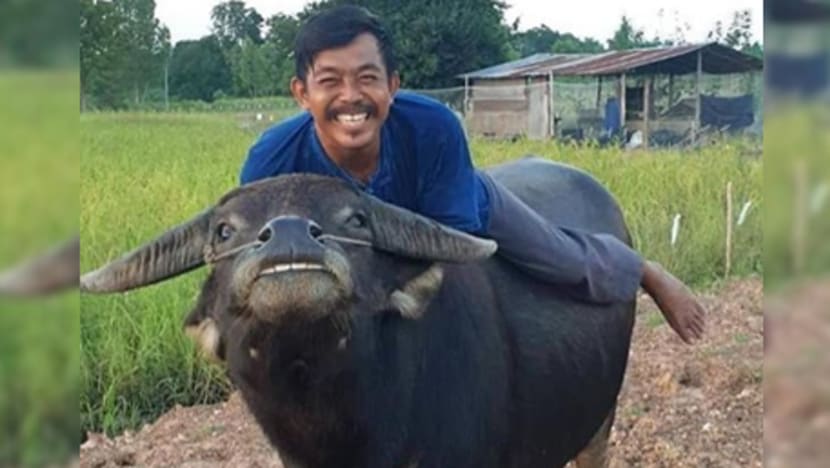 Gambar Pilihan Hari Ini Gambar Pilihan Hari Ini