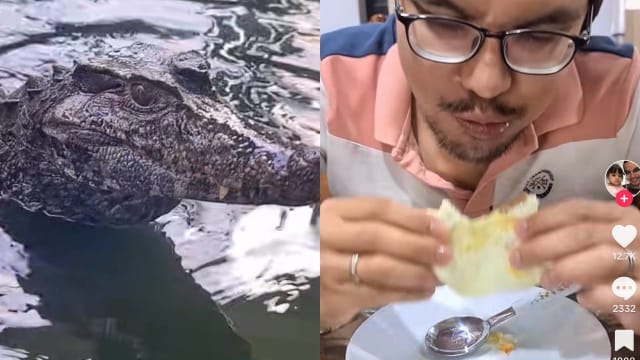 马国男煎鳄鱼蛋吃 网民：不怕鳄鱼报复？