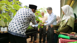 Related article image