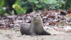 Related article image