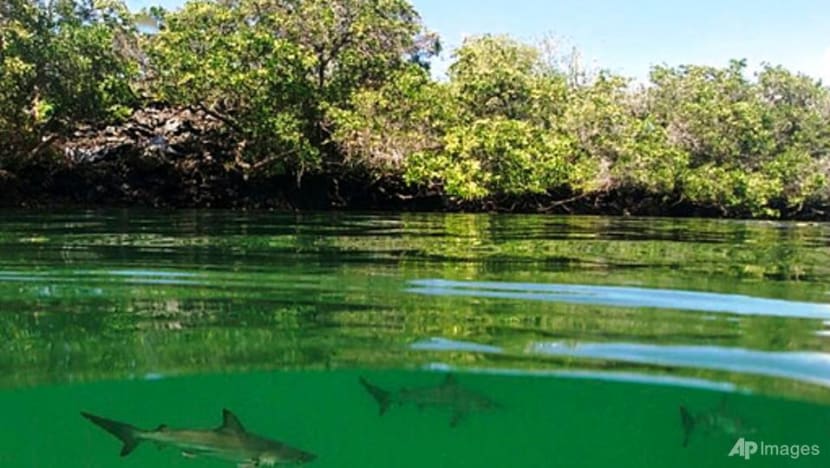 Protected areas cover a sixth of Earth's land and freshwater