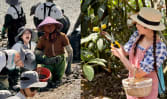 We went digging for clams in black mud in this Chinese city where Putien restaurants get their fresh produce