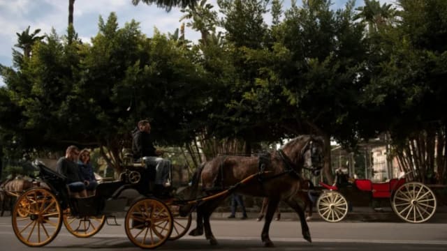 西班牙旅游胜地计划全面禁止观光马车 加强动物保护
