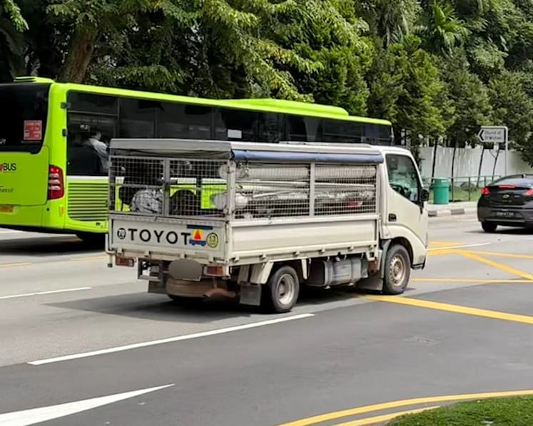 Ban of caged lorries for worker transport 'small step in the right direction': Rights groups