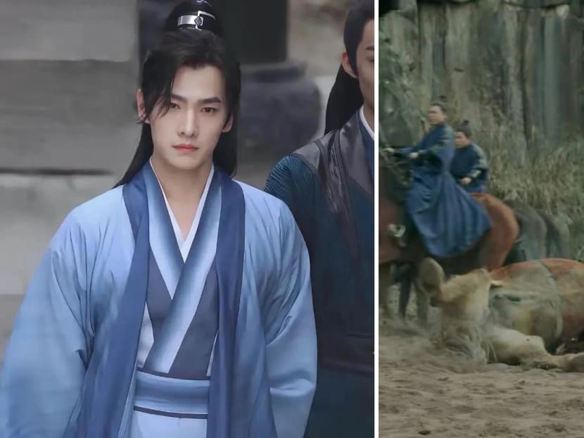 Netizens Want Chinese Actor Yang Yang’s New Drama Cancelled After Accusations That A Horse Was Abused On Set