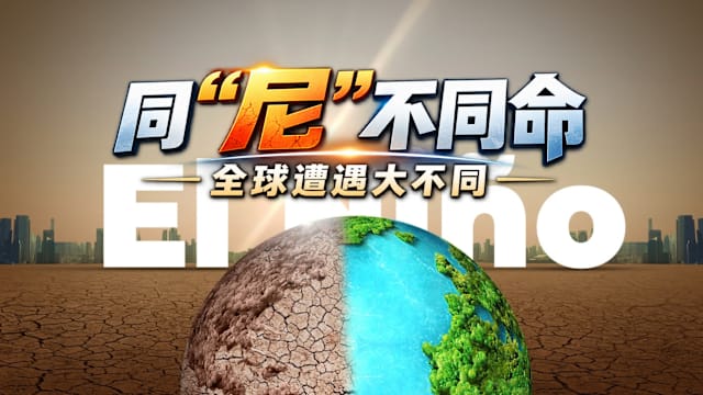 【一文看懂】同“尼”不同命 全球遭遇大不同
