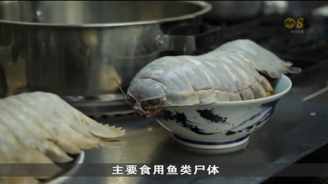 台湾拉面馆推大王具足虫拉面 专家：或有健康风险