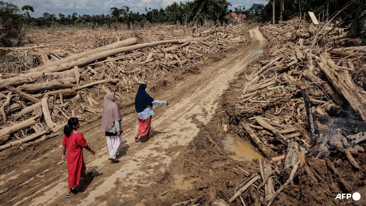 Toll in deadly Indonesia floods near 1,000, frustrations grow Toll in deadly Indonesia floods near 1,000, frustrations grow