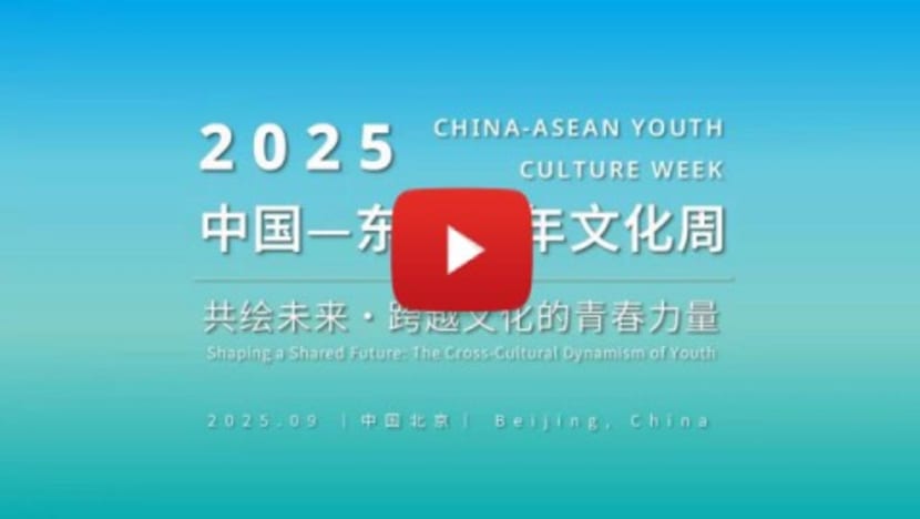 2025 China-ASEAN Youth Culture Week Successfully Held
