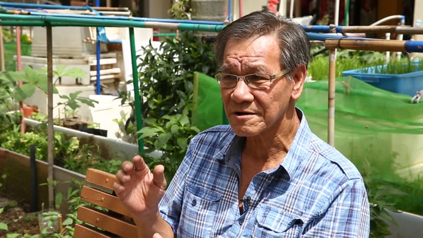 Friendships flourish at Tampines community garden, cafe