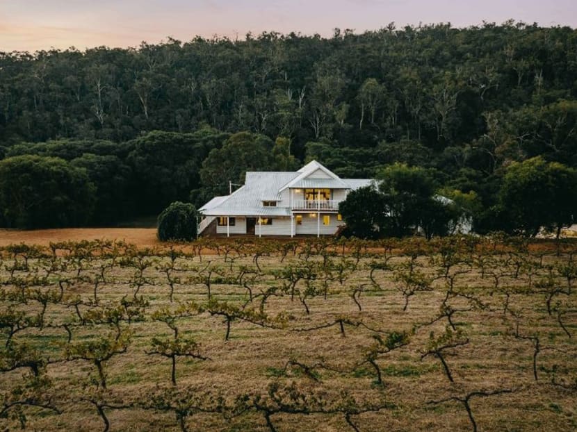 Of wines and early winter escapes: Say cheers to pastoral pleasures at Ampersand Estates