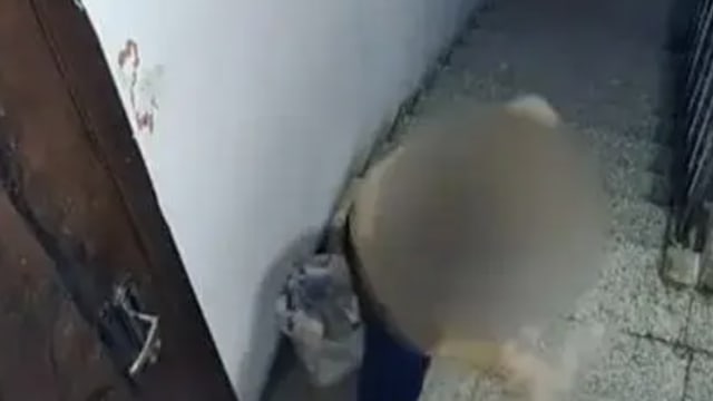中国男子被精神病邻居砸门辱骂两年 相关部门称无法强制送医