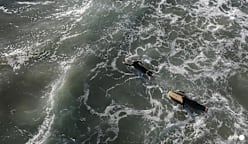 El Nino set to be strong, UN warns