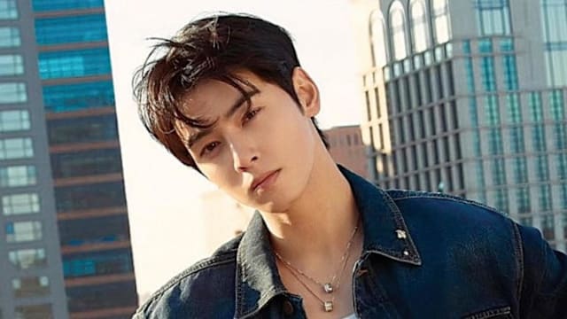 车银优遭追税逾1千万新元，急聘NewJeans律师团应战