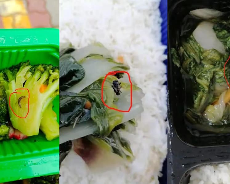 SFA investigating Catering Solutions after complaints about meals at Jalan Tukang dormitory