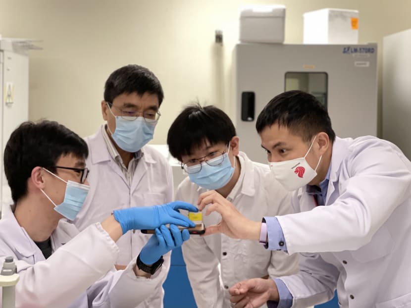 A team of NTU scientists (pictured) who developed a rapid test for the coronavirus that causes Covid-19 and is able to detect some mutations of the virus.