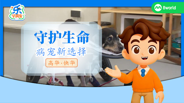 【高华快华】守护生命　病宠新选择