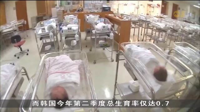 越来越多人不愿结婚生子 韩国日本持续面临人口下降问题