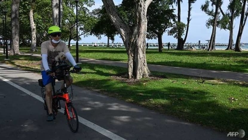 Basikal tanpa brek tidak lagi dibenarkan di laluan pejalan kaki dan jalan raya