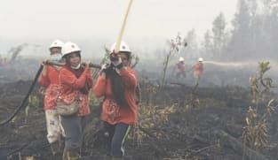 Jumlah tapak kebakaran di Indonesia turun kepada 365