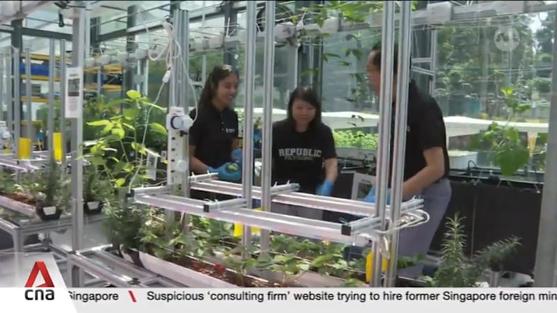 From cellulose batteries to upcycling soybean waste, 14 individuals receive NEA's EcoFriend Awards
