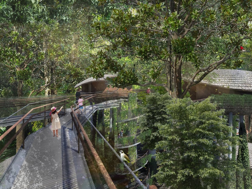 Singapore Zoo: World's Best Rainforest Zoo - Future Development and Sustainability