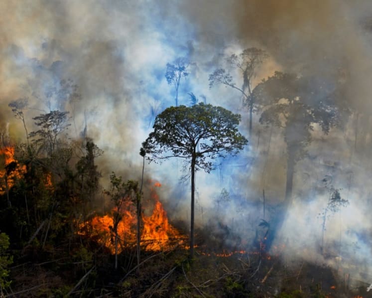 COP26: World leaders promise to end deforestation by 2030, but most Southeast Asian countries yet to sign on
