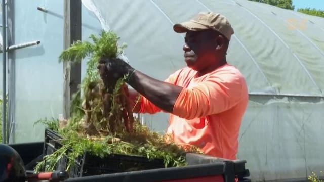 焦点 | 关税风暴下 美国企业撑得住吗？