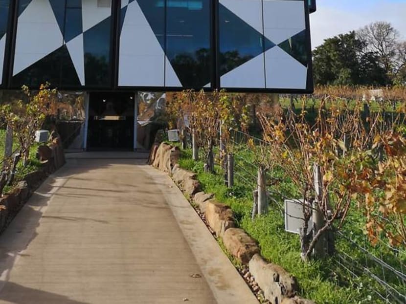 The Best Things To Do In Australia, According To Shane Pow Who Spent 6 Weeks There