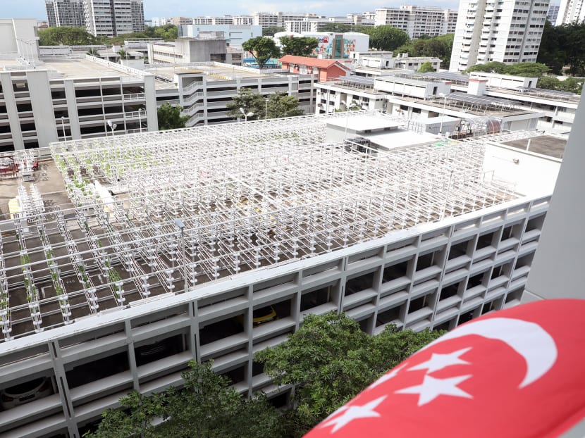 Citiponics' urban vertical farm on the rooftop of a multi-storey car park at Block 700, Ang Mo Kio Avenue 6. More of such rooftop farming space will be made available for public tender. Citiponics' urban vertical farm on the rooftop of a multi-storey car park at Block 700, Ang Mo Kio Avenue 6. More of such rooftop farming space will be made available for public tender.