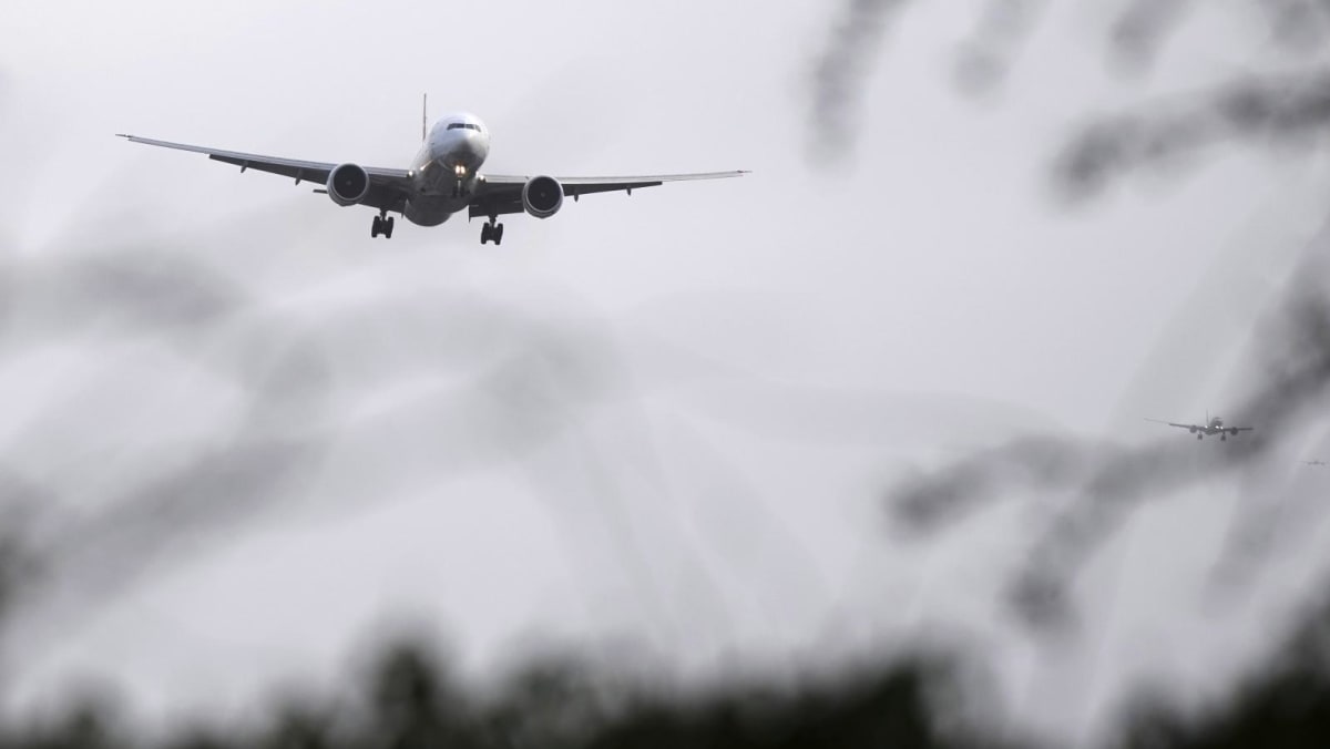 US pilot messaging system outage may mean flight delays, says Transportation Department