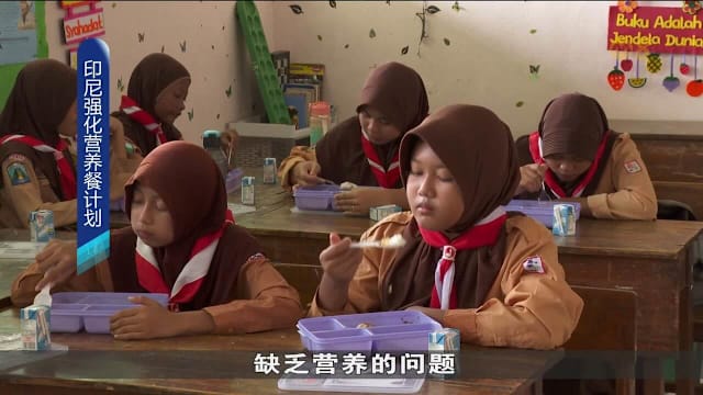 印度尼西亚微调免费营养餐计划