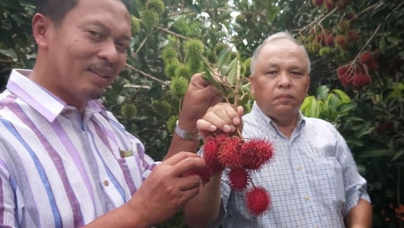 M'sia hasilkan 2 klon rambutan yang dinamakan 'Mutiara Merah', 'Mutiara Wangi'